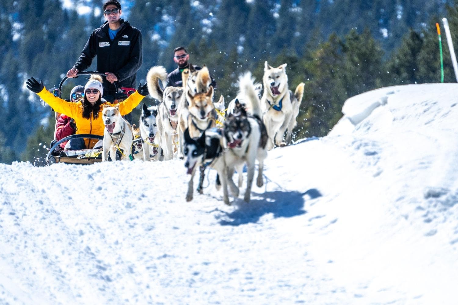 11032020-Actividades_Mushing_Amigos_Grau_Emilio-71-2