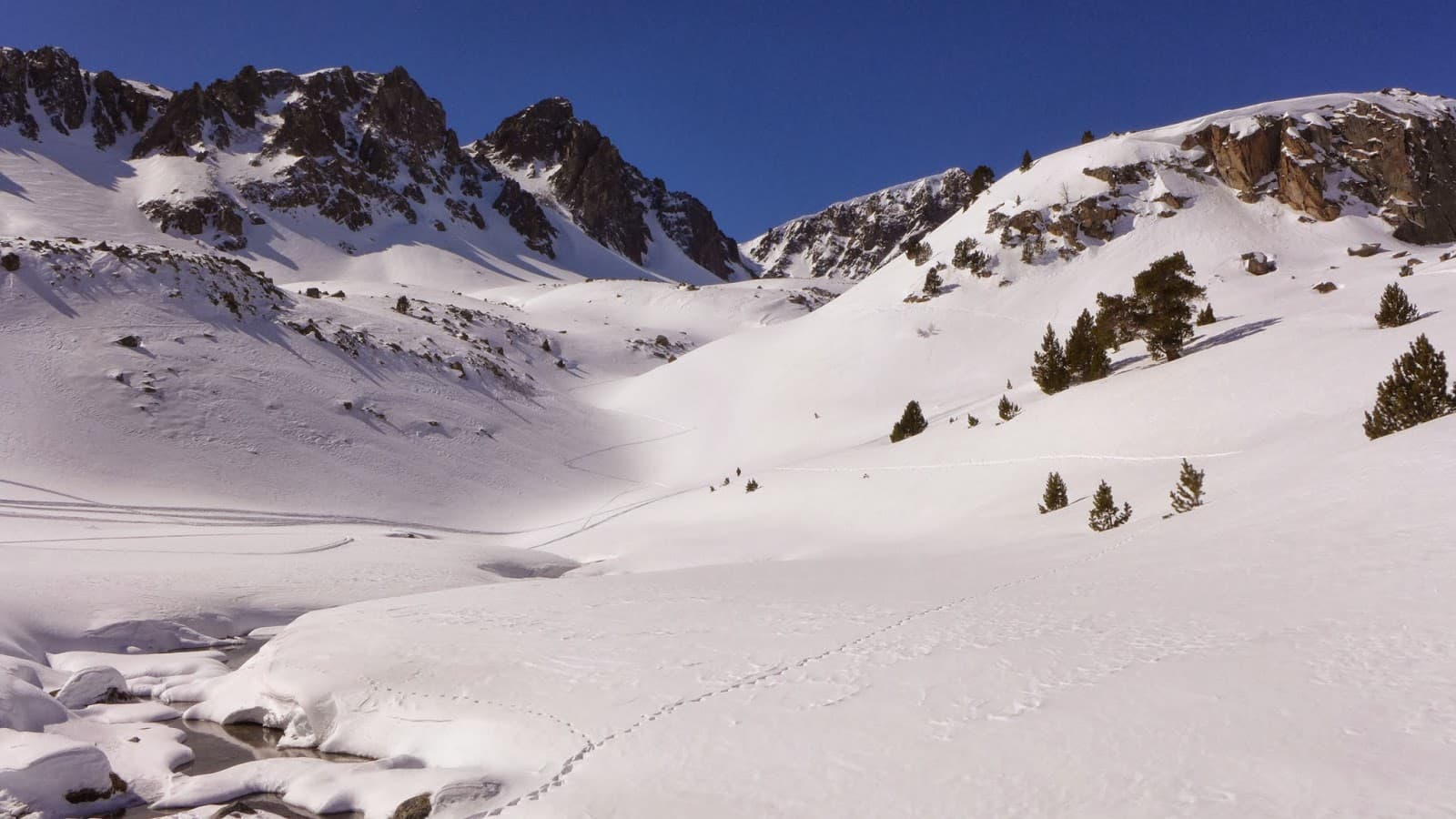 pessons