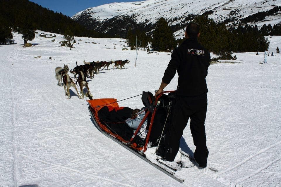 Mushing o Trineo de Perros RocRoi Actividad en Familia