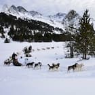 AÑO NUEVO, NIEVE NUEVA