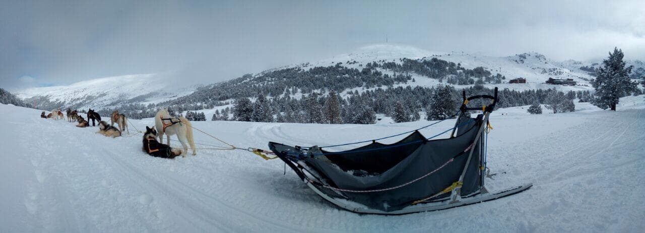 Més Mushing-1