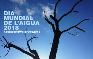 DiaMundialAigua2018-cat