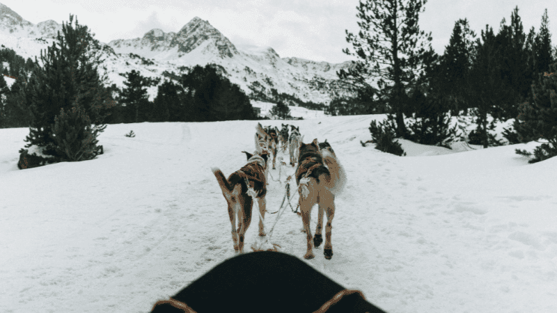 Experiencias para regalar: aventuras únicas y originales con RocRoi
