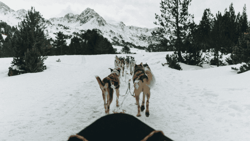 Experiencias para regalar: aventuras únicas y originales con RocRoi