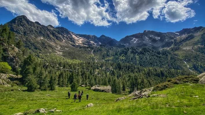 What should I bring with me for a complete summer with my family?