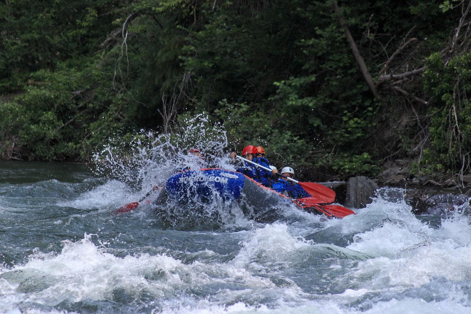 IMG_2831