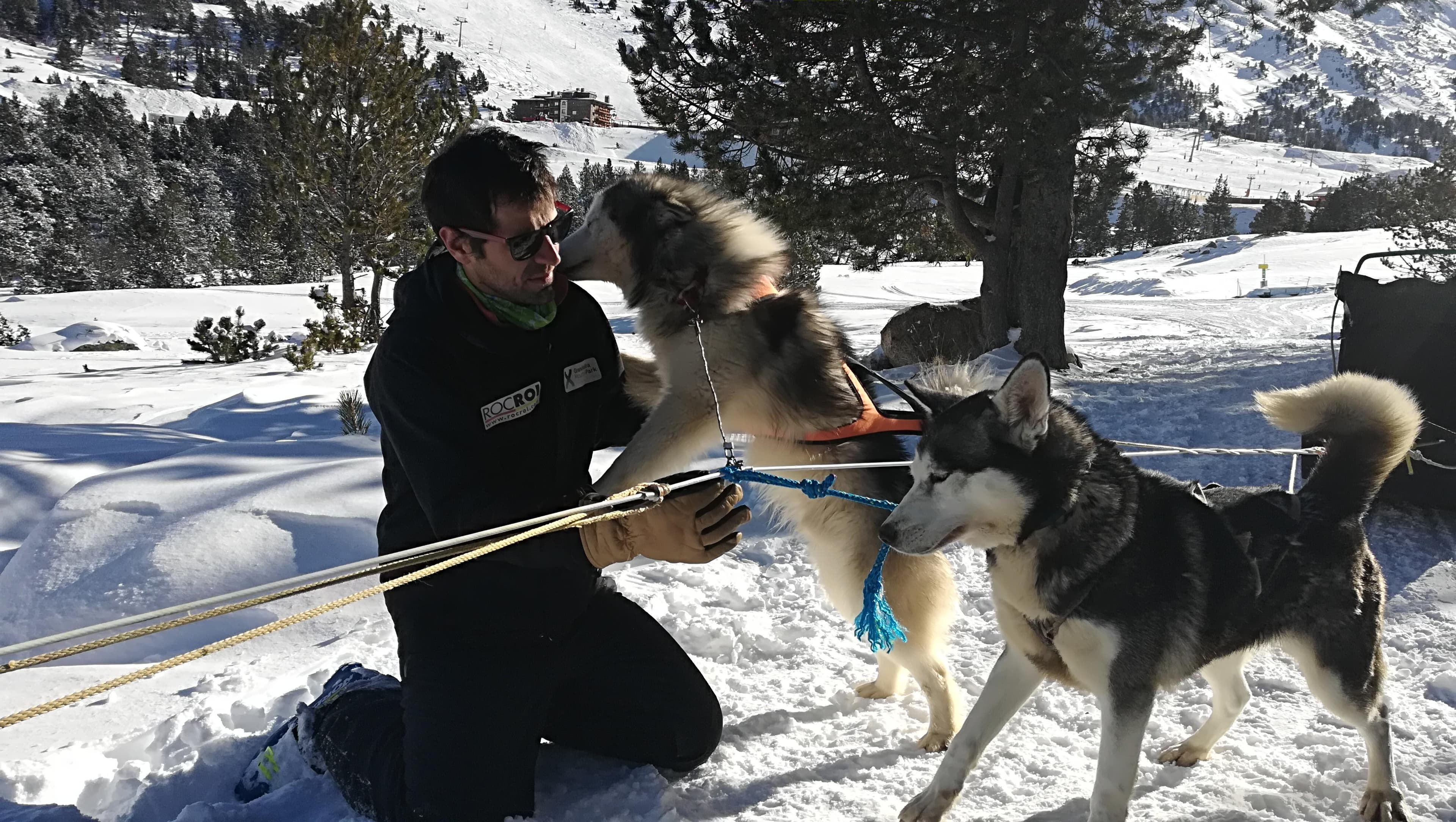 Secretos del Mushing-5