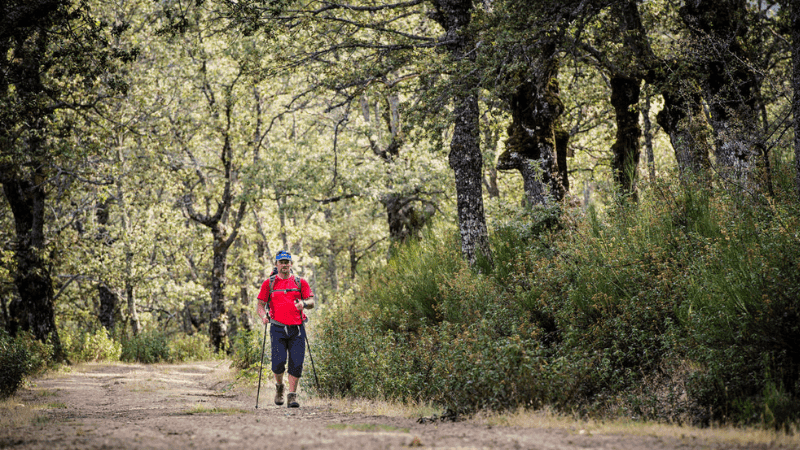 The 5 best Adventure activities near Madrid