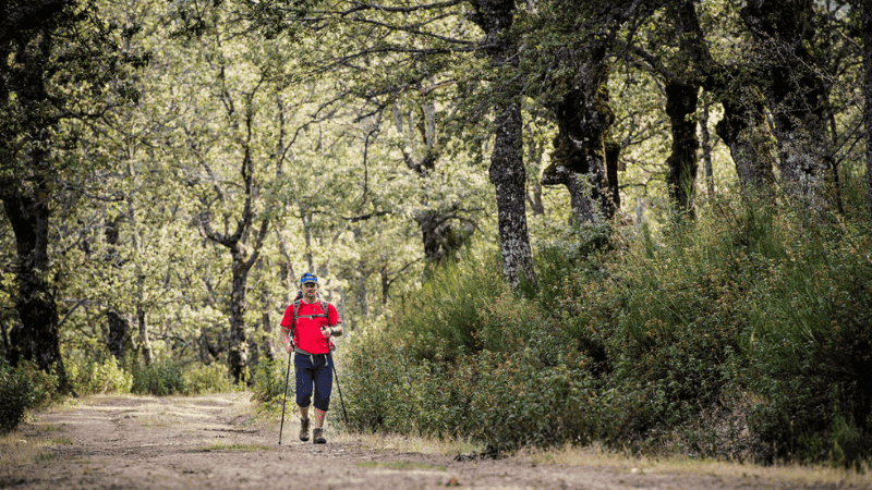 Las 5 mejores actividades de Aventura cerca de Madrid