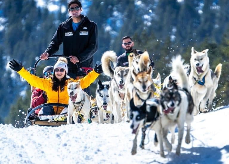 Regala Mushing