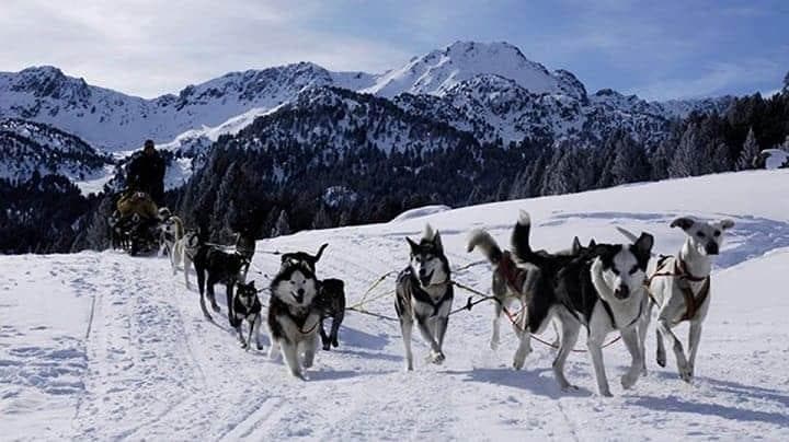 Dog Sledding Mushing Grandvalira Pyrenees (Andorra)