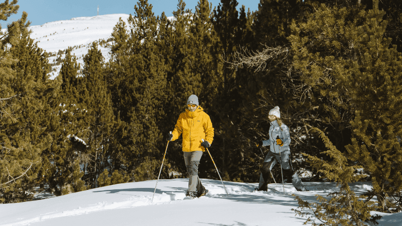 5 actividades de invierno para hacer con tu familia