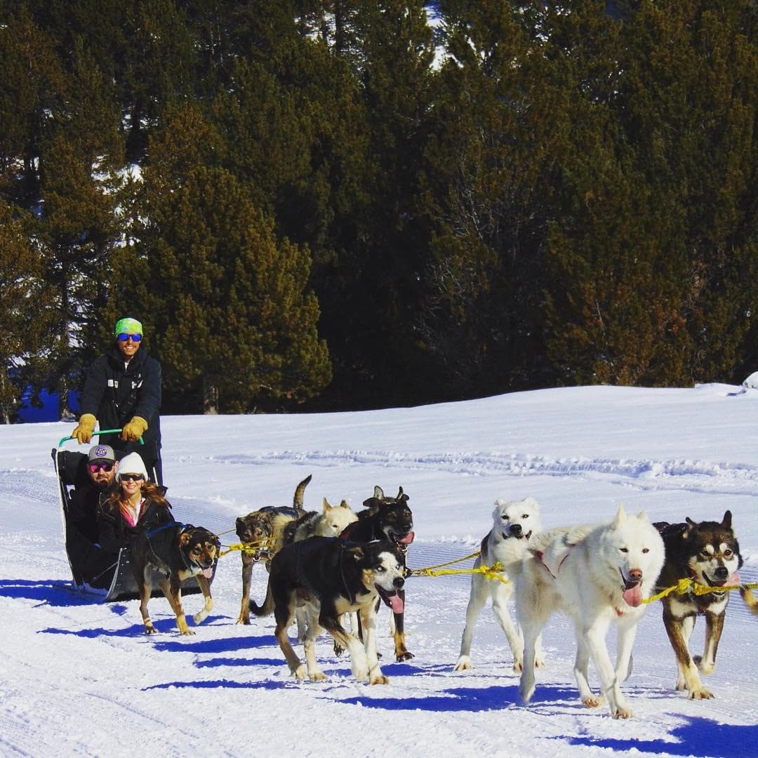 BIENVENIDOS AL UNIVERSO DEL MUSHING EN ROCROI