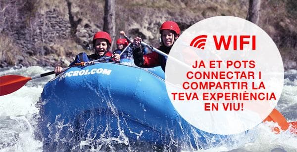 Wifi RocRoi