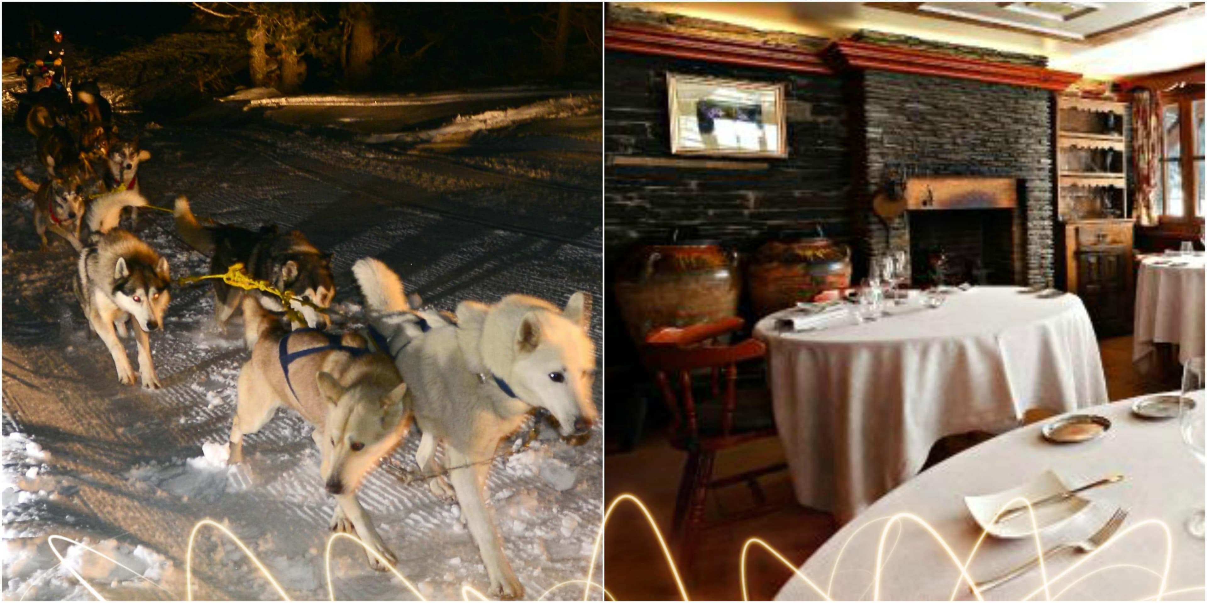 3-mushing-sopar+filtre