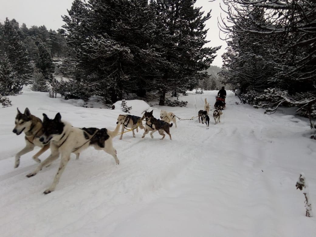IMG-20191205-WA0013(1)