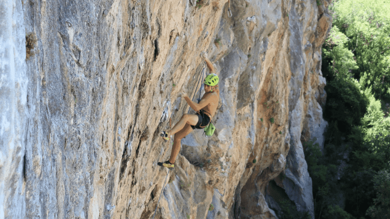 Explorando Pasiones: Entrevista con Pere Borrell