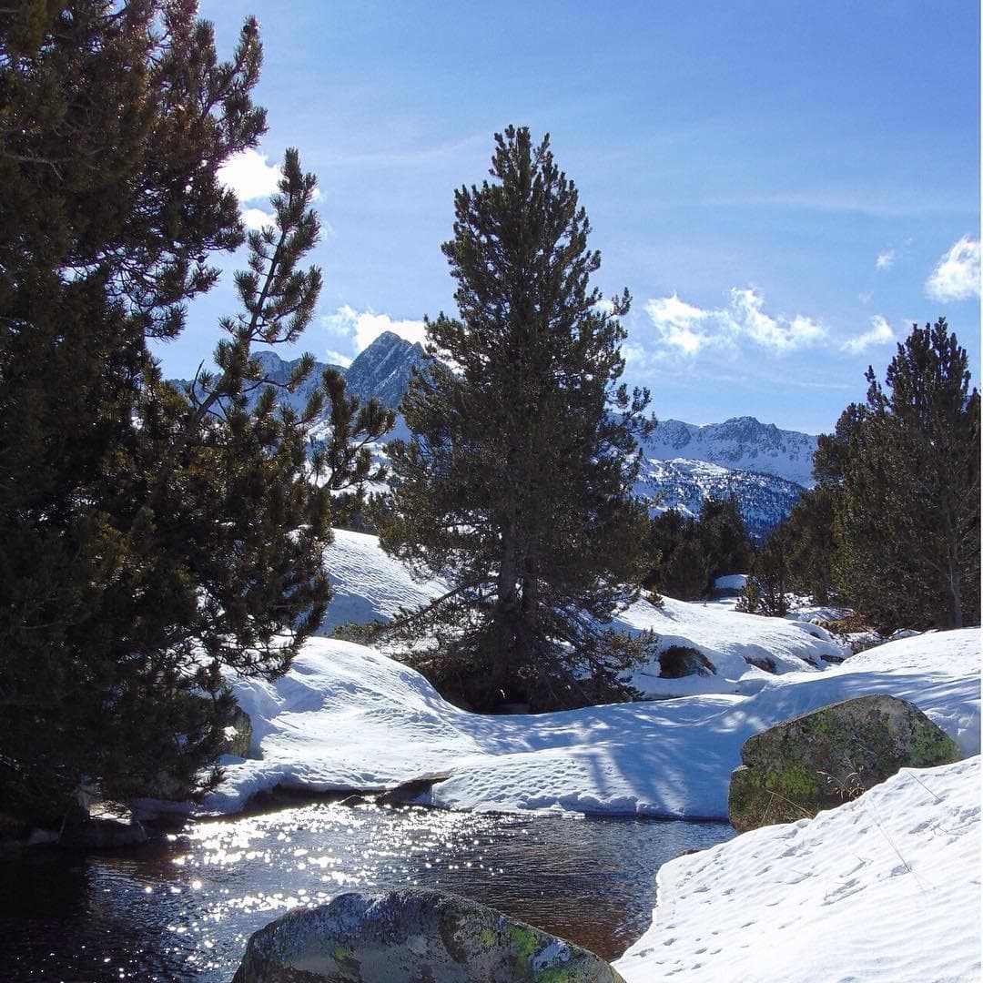 ¡Ha nevado esta mañana, y han anunciado más para esta noche!  #nieve en #Rocroi #Andorra @grandvalira