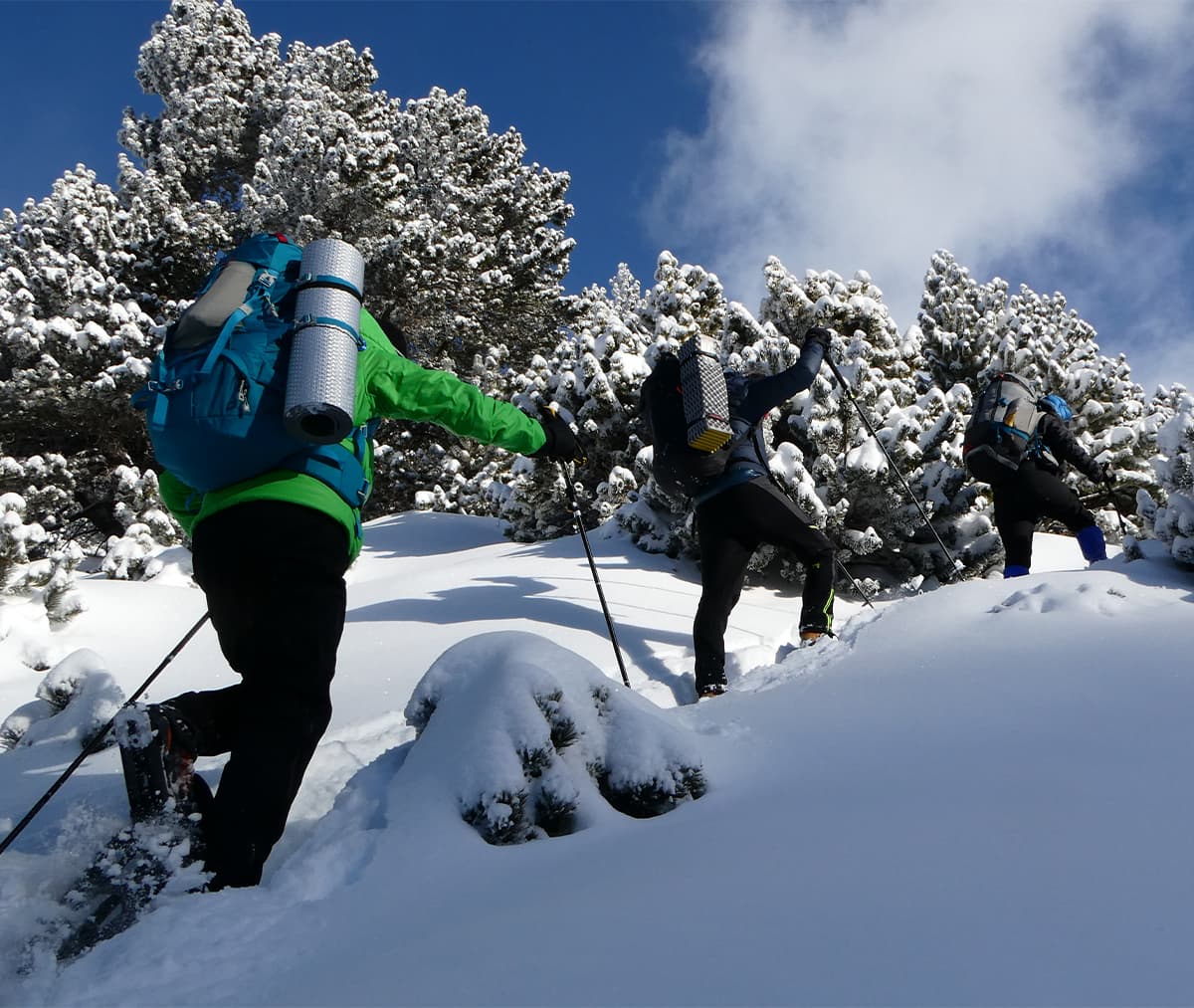 Top 3 snow activities to do on a weekend in la Molina and Vall de Núria