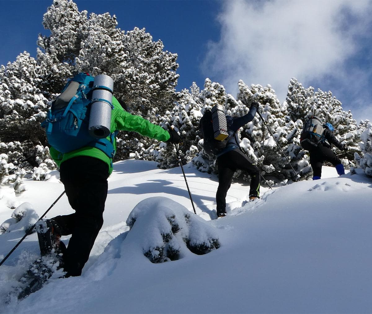 Top 3 actividades de nieve para hacer un fin de semana en la Molina y la Vall de Núria