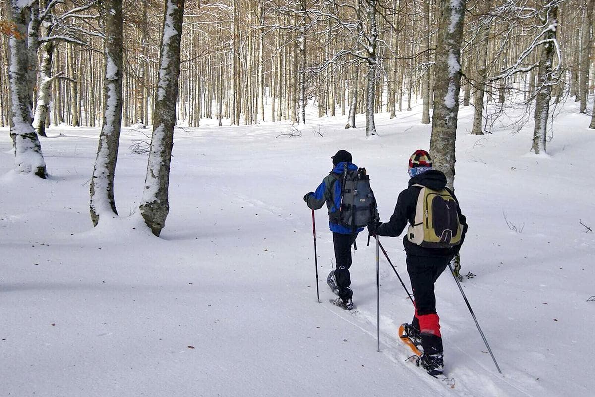 Larra Belagua Andorra: Paisajes invernales ideales para raquetas de nieve con Amigos