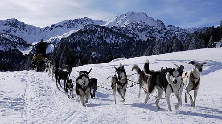 muching_trineos_perros_pirineos