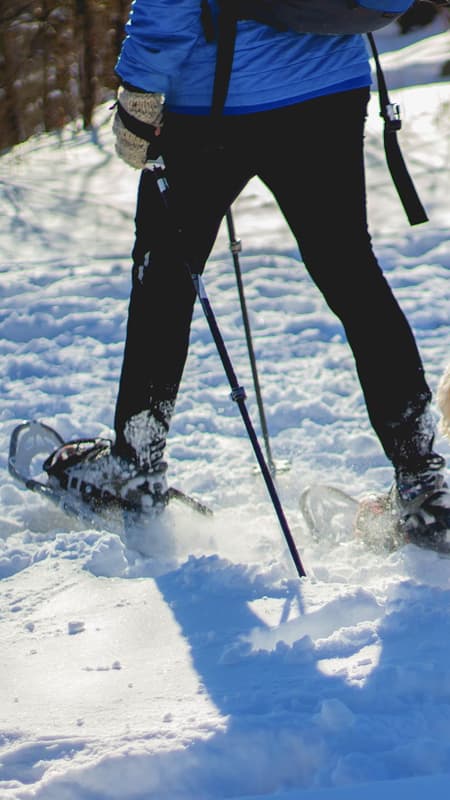 Sierra de Guadarrama: 8h snowshoe rental in Madrid