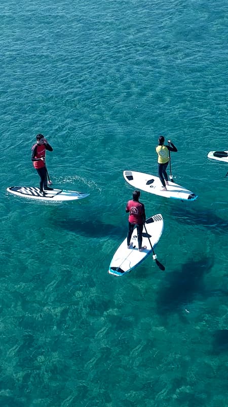 Paddleboarding Hire in Valencia — 1h or 2h at La Marina