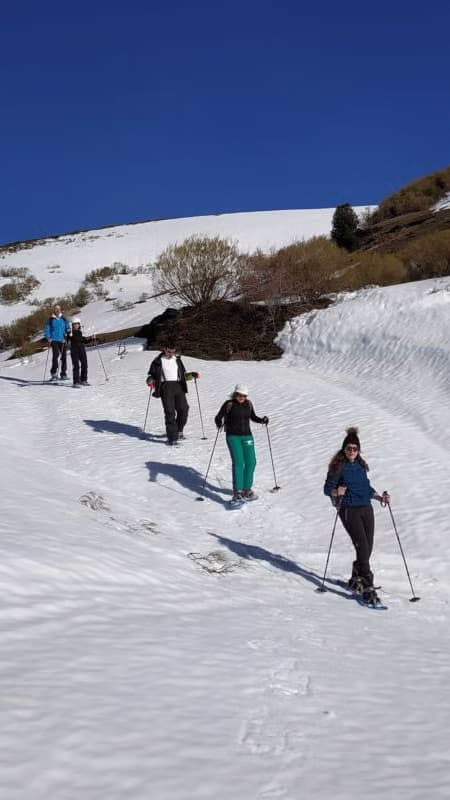 Alto Campoo: Itinéraire de 4 heures de raquettes en Cantabrie