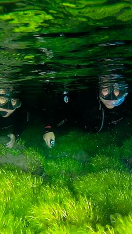 1h30 guided night snorkelling tour in Las Canteras Beach: Las Palmas de Gran Canaria