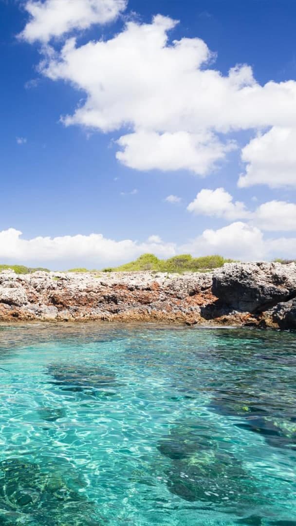 Ruta en Paddle Surf por la Reserva Marina del Norte de Menorca — Cuevas y Snorkel en Fornells