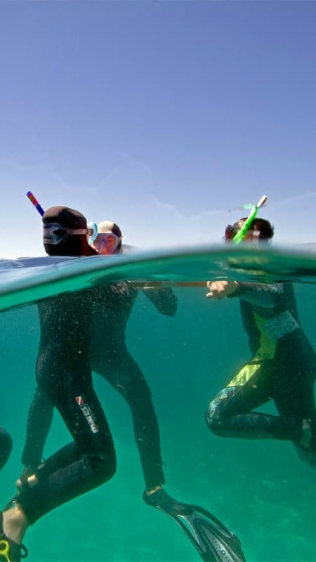 Snorkel a les Illes Medes des de L'Estartit