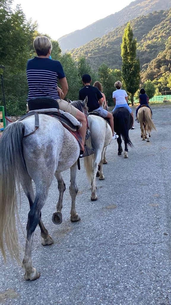 Ruta a Cavall per Rialp: Passeig Eqüestre a l'Alt Pirineu (1h)