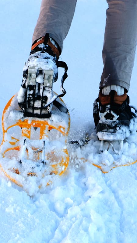 Alto Campoo: Itinéraire de 4 heures de raquettes en Cantabrie