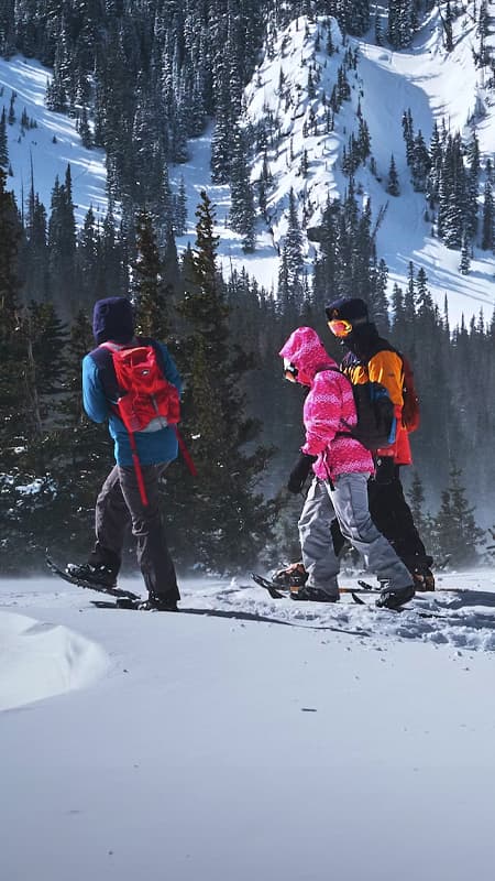 Sierra de Guadarrama: 8h snowshoe rental in Madrid