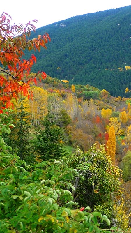 Senderismo en el Pirineo: Los colores del otoño