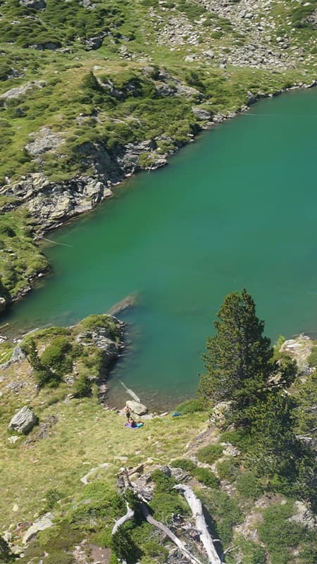 Senderisme al Pirineu: Les papallones i marmotes a l'estiu