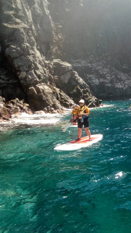 Excursión de Paddle Surf Tenerfe de 3h en la Bahía de Los Cristianos