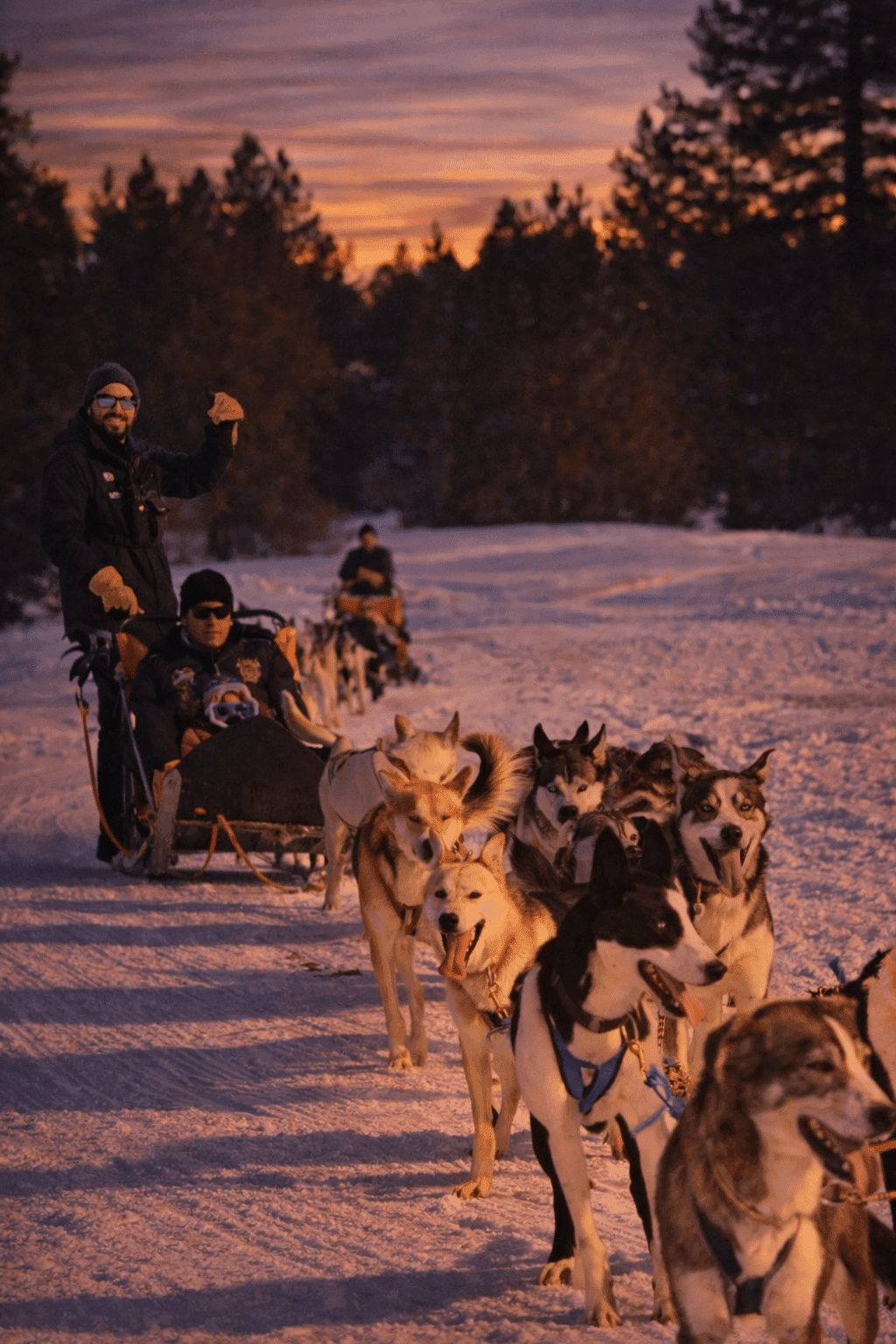 Andorre : Balade nocturne en mushing 5 km