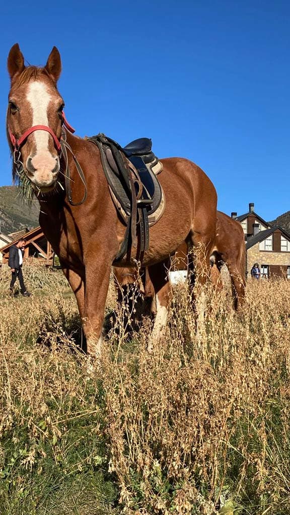 Ruta a Cavall per Rialp: Passeig Eqüestre a l'Alt Pirineu (1h)