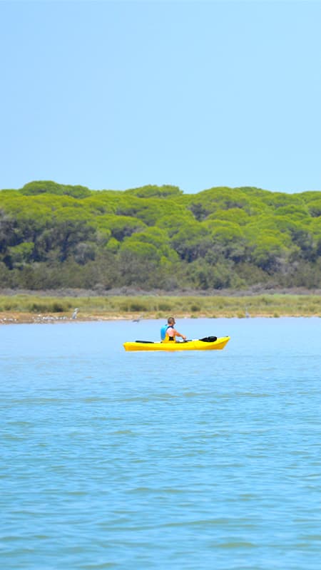 Parc Nacional de Doñana: Ruta guiada de 2h en caiac al riu Guadalquivir
