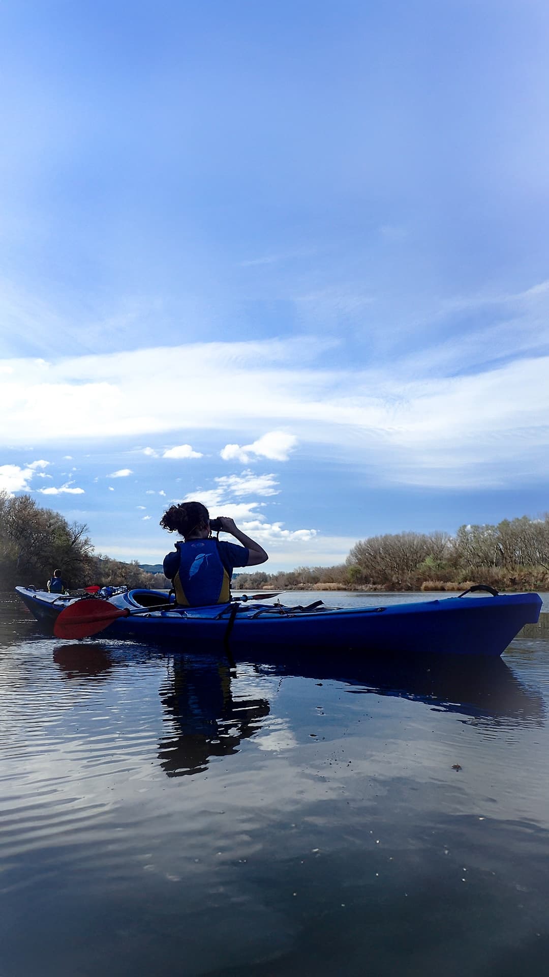 Ruta con guía exclusivo en kayak en el río Ebro con observación de aves de 3h en Móra d'Ebre
