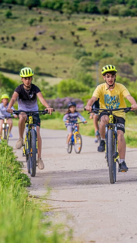 Sierra de Guadarrama : Location de 3h de VTT à Madrid