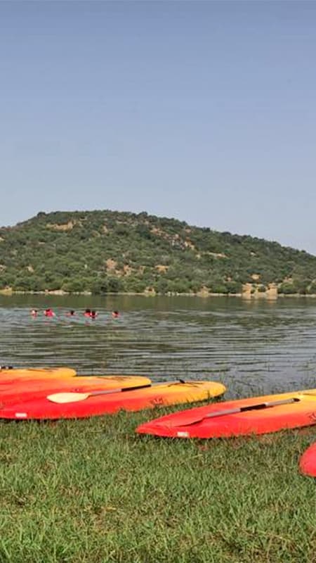 1h Alquiler Tabla de Paddle Surf en el Embalse de Aguijón: Badajoz