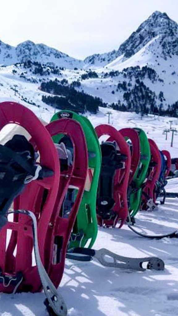 Andorra: 5-Hour Guided Snowshoeing Excursion in Grau Roig