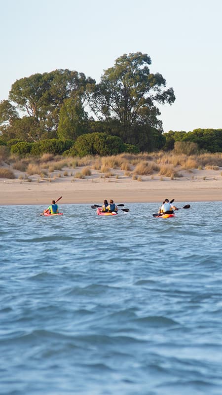 Doñana Natural Park: 1h guided double kayak route on the Calzada Beach in Sanlúcar de Doñana