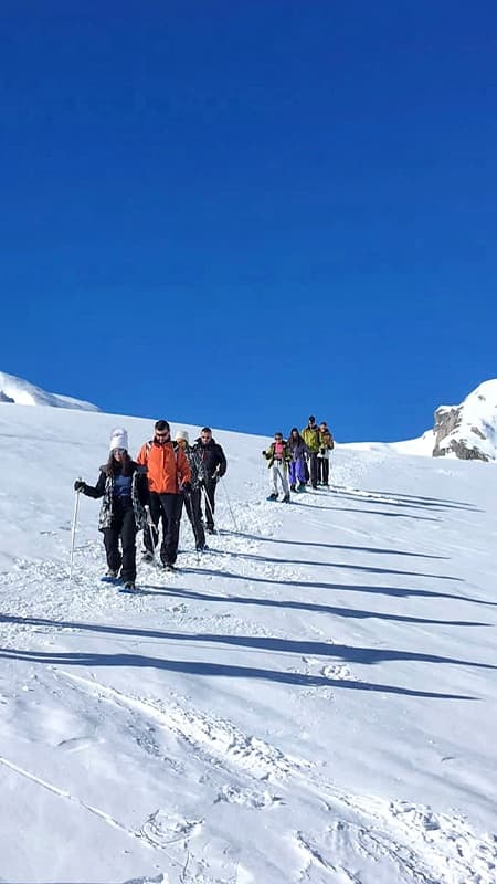 Tena Valley: 2h30 guided snowshoe excursion in Huesca
