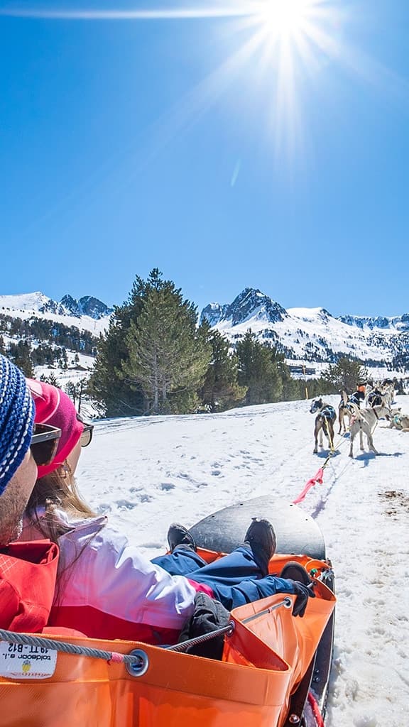 Andorra: 5km dog sled ride in Grau Roig