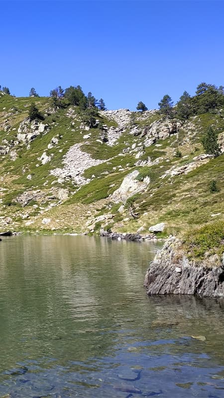 Senderisme al Pirineu: Les papallones i marmotes a l'estiu