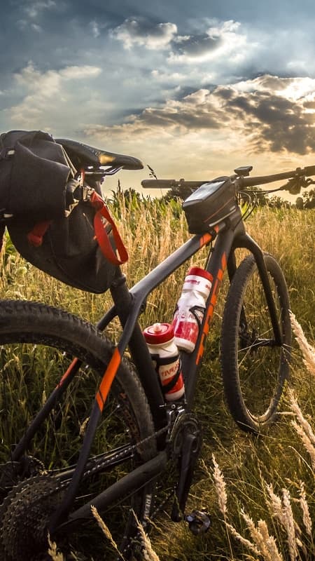 Valle del Jerte: randonnée guidée de 3h en VTT en Extremadura